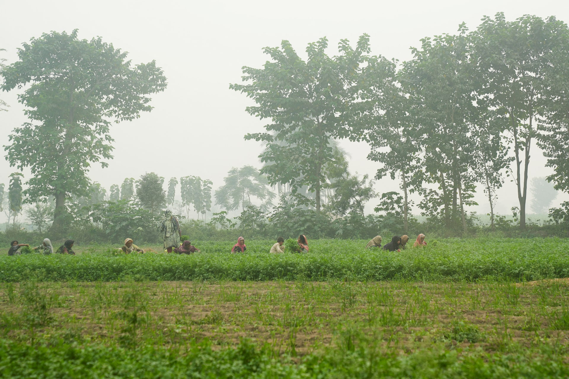 View -             Khốn khổ cuộc sống người dân Pakistan trong đợt ô nhiễm kỷ lục    