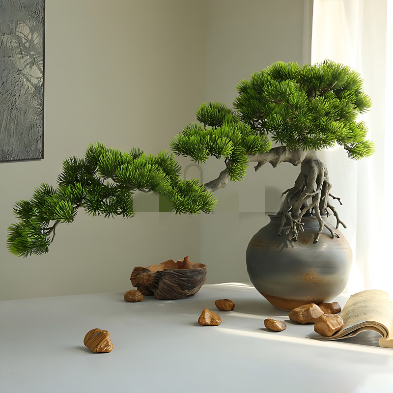 View -             10 sự thật ngạc nhiên ít người biết về bonsai    