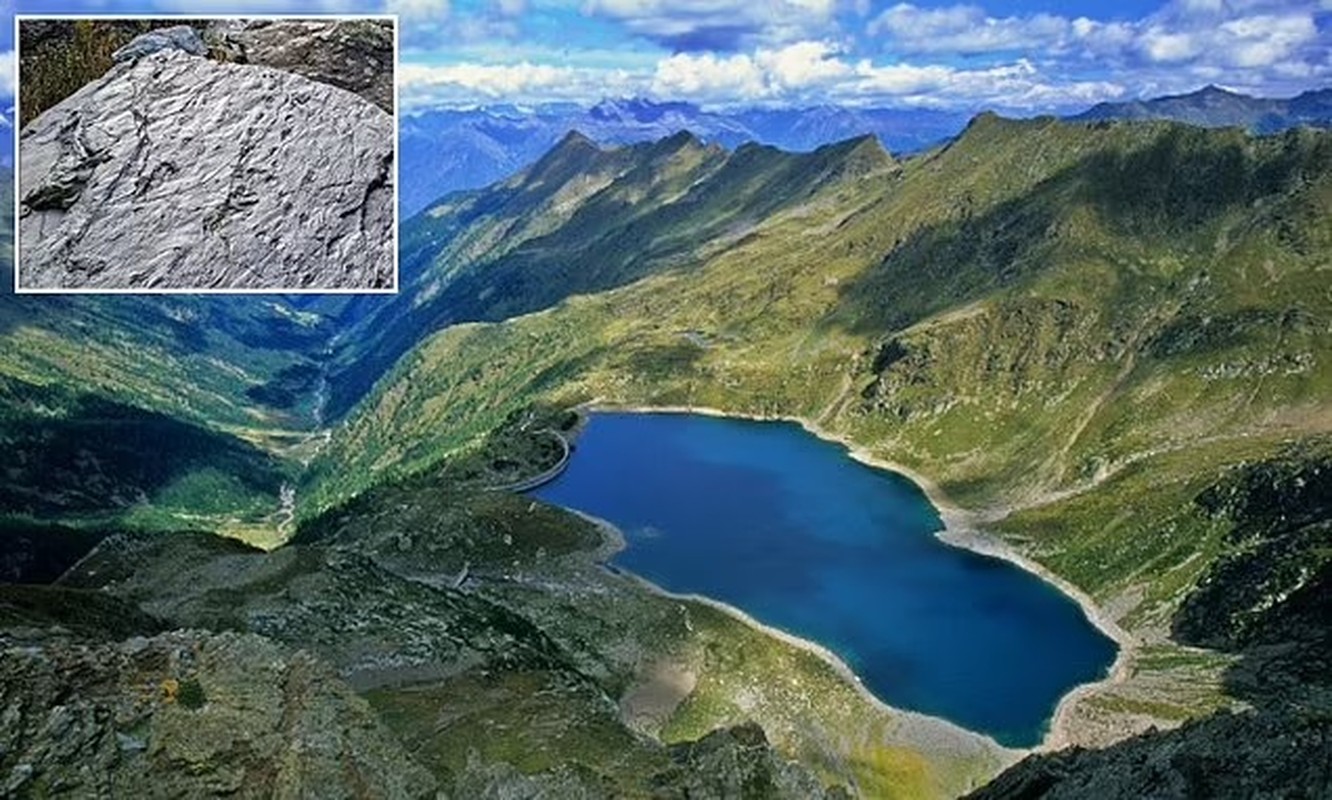 View -             Phát hiện 'thế giới đã mất' 280 triệu tuổi trên dãy núi Alps    