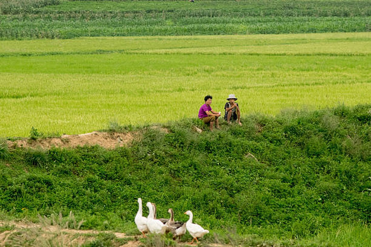 View -             Hé lộ cuộc sống ở nông thôn Triều Tiên nhiều năm trước    