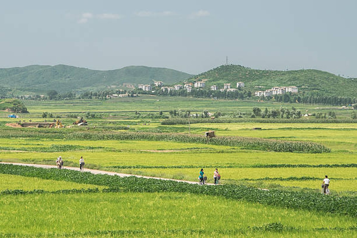 View -             Hé lộ cuộc sống ở nông thôn Triều Tiên nhiều năm trước    