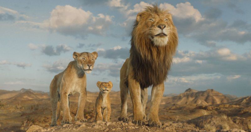 View -             'Mufasa: The Lion King' - Chuyện chưa kể về huyền thoại Pride Lands    