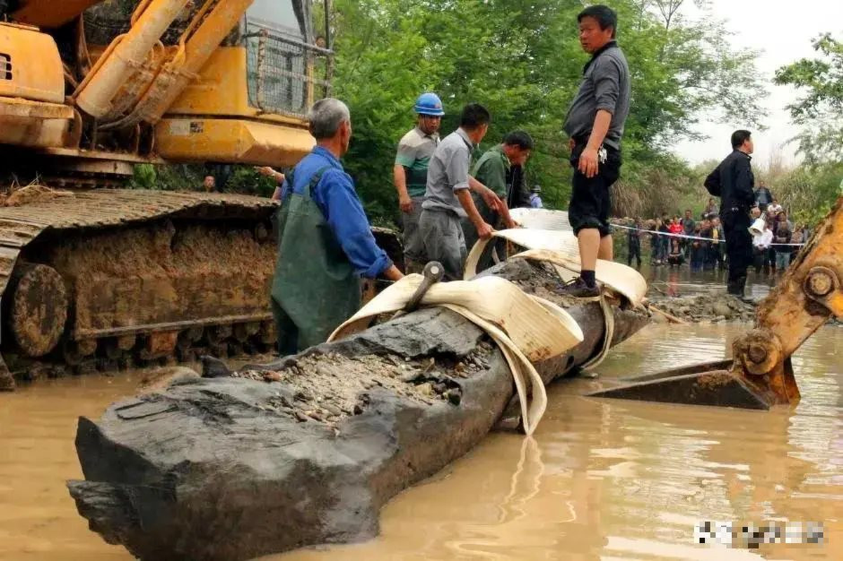 View -             Đào trúng 'khúc gỗ lạ', công trường lập tức dừng thi công    